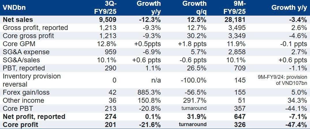[KQKD thép Q2-2025] - HSG: Lợi nhuận "lõi" vẫn yếu