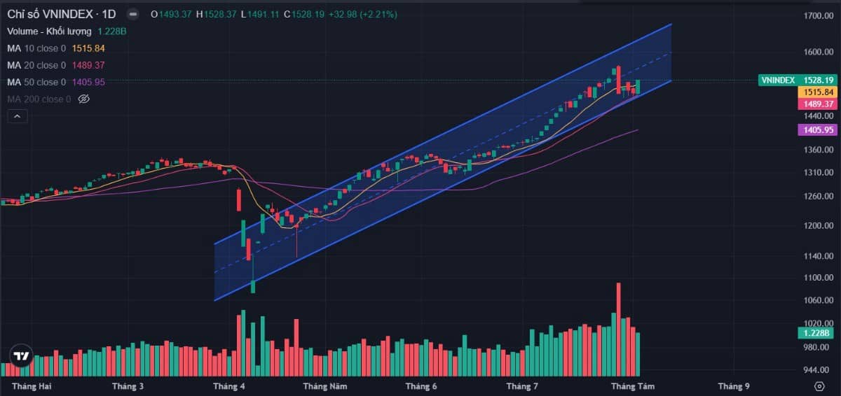 Bản tin buổi sáng ngày 05/08/2025: Vnindex phục hồi kĩ thuật! Tạo đáy hay bulltrap?