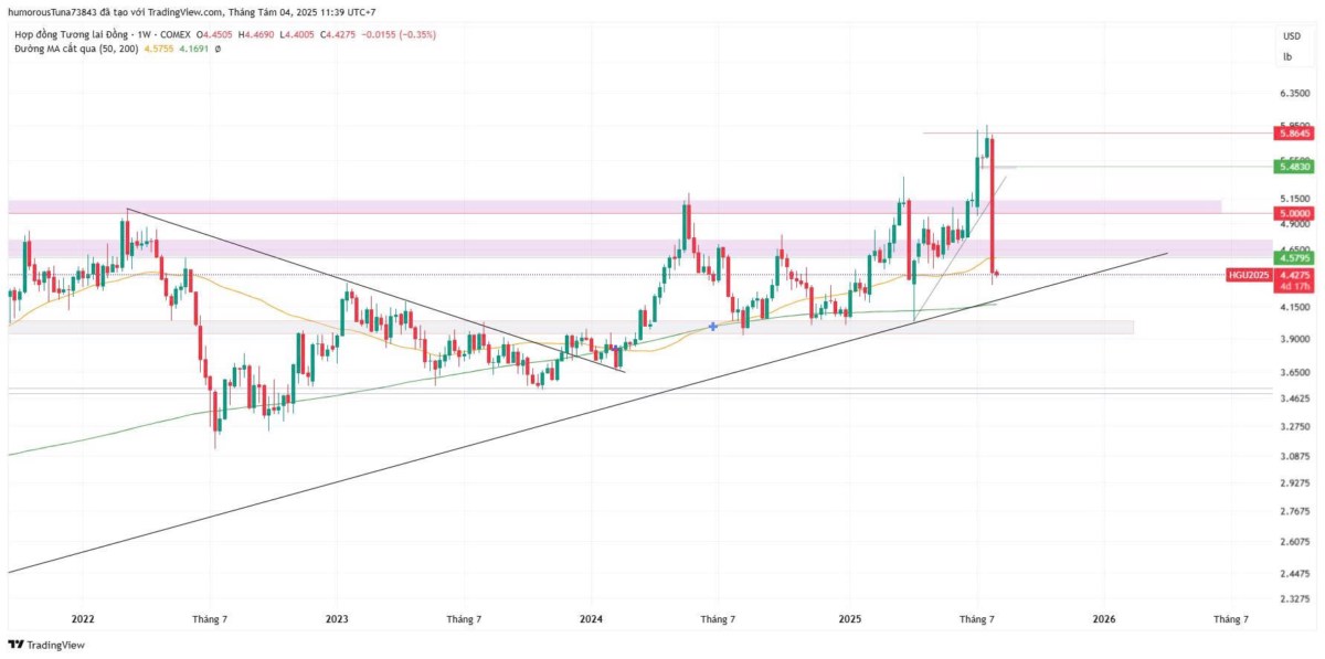 Trump tiếp tục chống đỡ: Thuế quan mới đối với chất bán dẫn và dược phẩm có thể đảo chiều chuỗi cung ứng toàn cầu