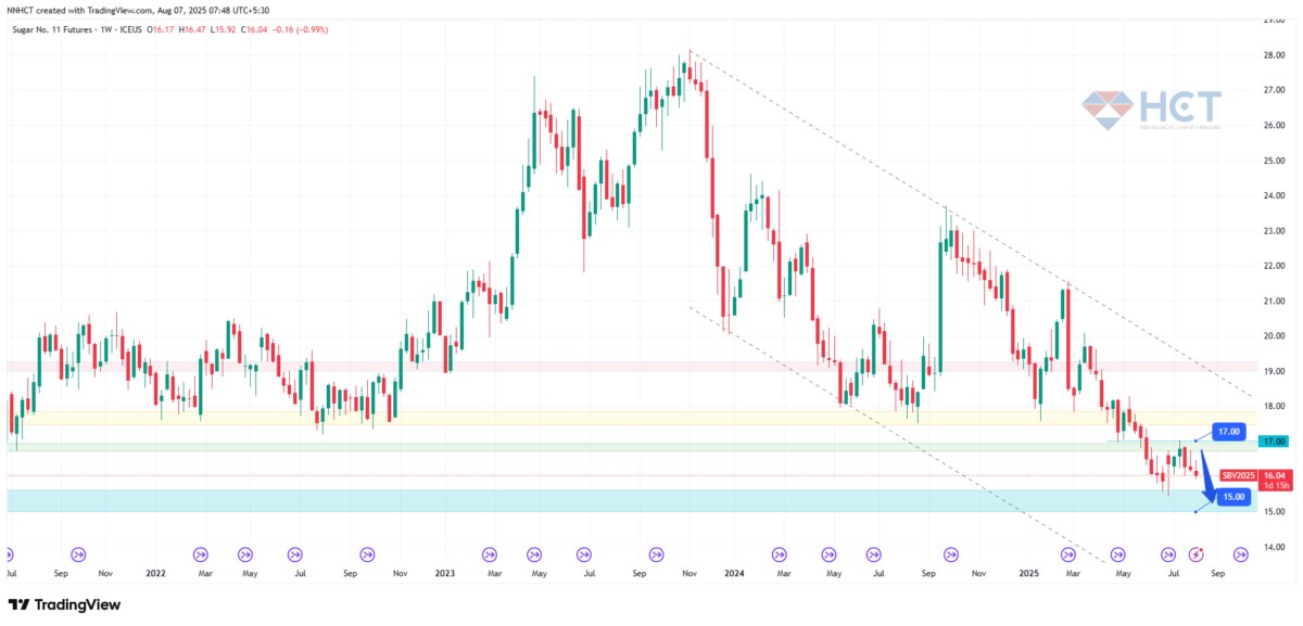 Sóng gió trên thị trường đường: Sản lượng tăng vọt, giá sẽ ra sao?