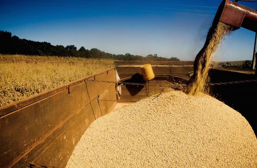 Khô Đậu Tương Và Chuỗi Domino Tăng Giá: Khi Nhu Cầu Cuối Năm Trở Thành Cơ Hội Đầu Tư