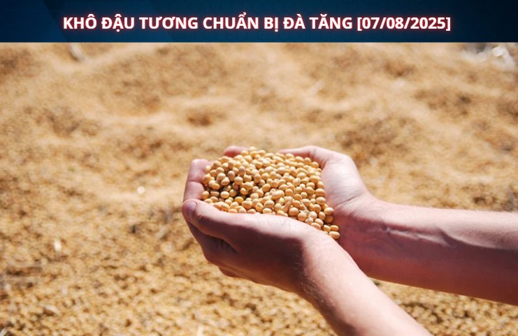 Khô Đậu Tương Bắt Đầu Vào Mùa Tăng Giá?