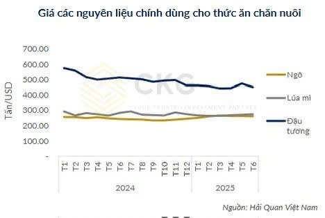 ĐÁNH GIÁ NHANH KQKD Q2/2025 ANV, SIÊU BÙNG NỔ NHƯNG ĐÃ PHẢN ÁNH VÀO GIÁ CHƯA?. Giai đoạn thuế quan làm  ...