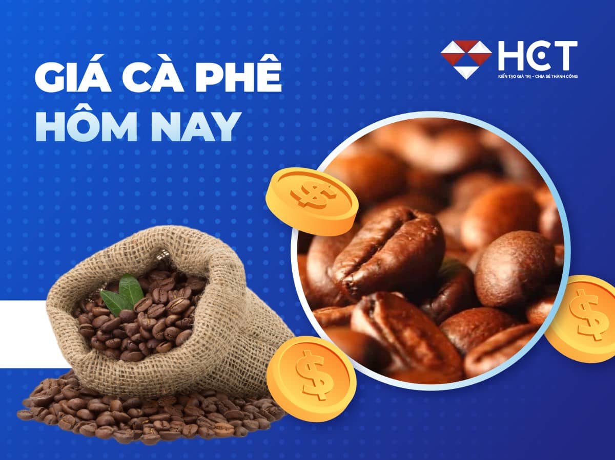 Giá cà phê 08/08/2025: Tăng mạnh lên 101.600 đồng/kg, Mỹ – Brazil chưa hạ nhiệt
