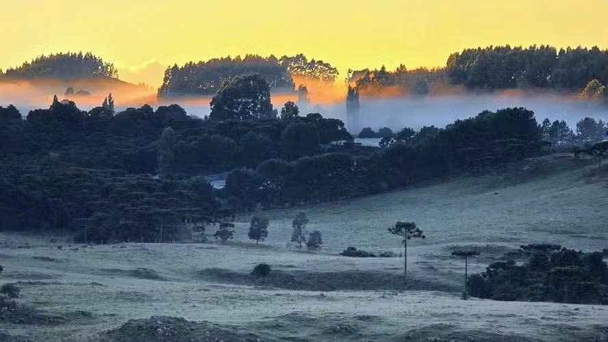 Nguy cơ sương giá lan rộng tại vùng trồng Cà phê trọng điểm của Brazil . Nhiều khu vực sản xuất nông  ...