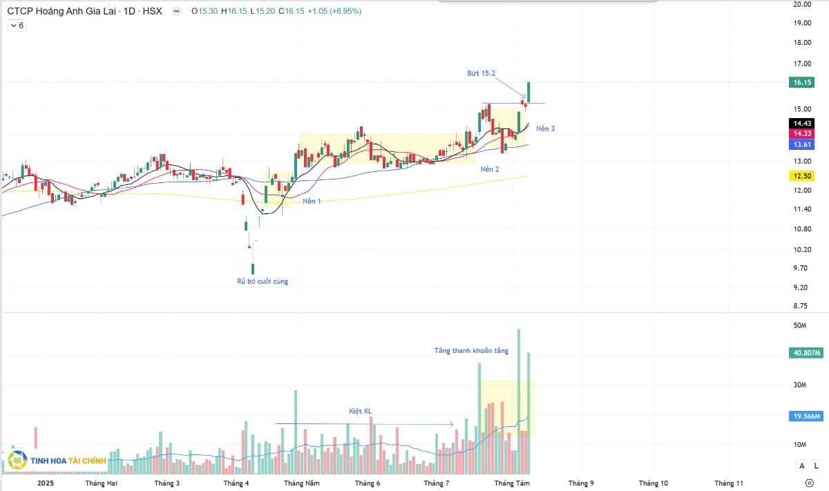 Dữ liệu được cập nhật đến hết ngày 08.08.2025. Thị trường đã xuất hiện vùng đi biên với biên độ 100  ...