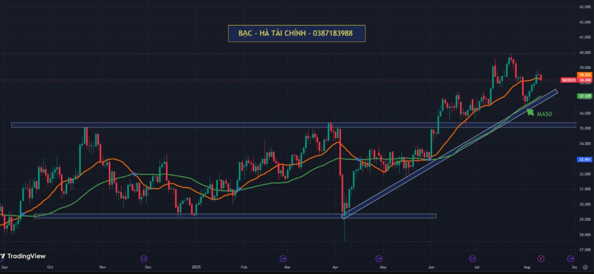 Thị Trường Bạc Ngày 11/08/2025: Ổn Định Ở Mức Cao, Xu Hướng Vẫn Hướng Lên
