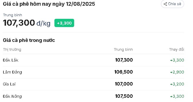 Phân Tích Thị Trường Cà Phê Ngày 12/08/2025 – Đà Tăng Tiếp Diễn, Nhà Vườn Thêm Kỳ Vọng
