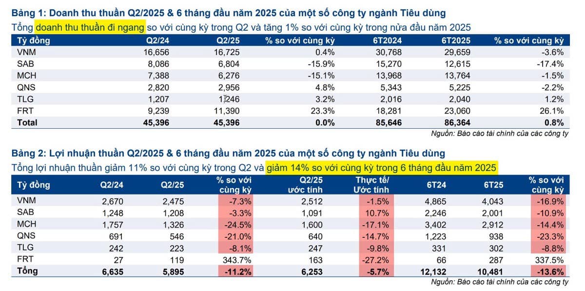 Kết quả kinh doanh các công ty hàng tiêu dùng