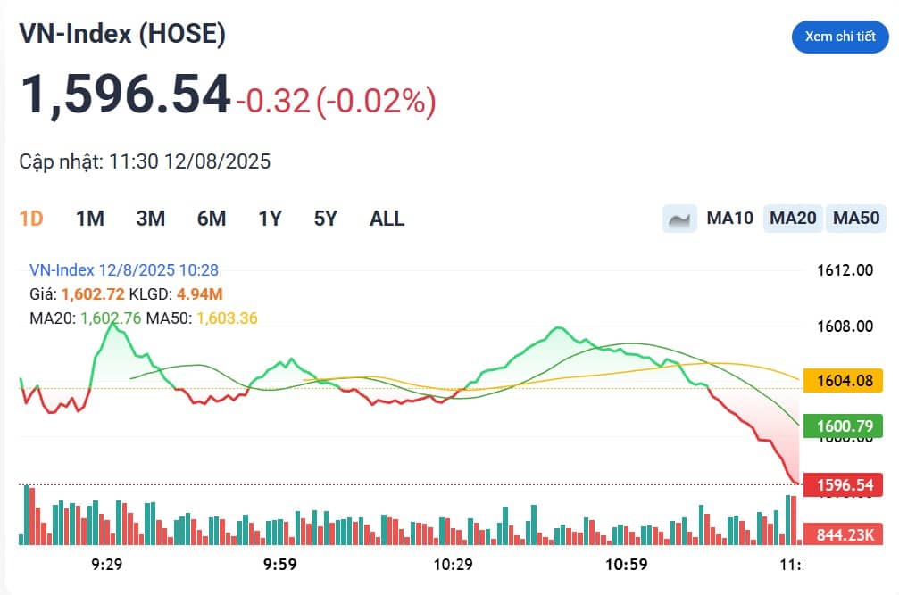 VN-Index chạm 1.600 điểm: “Mega uptrend” nhưng rung lắc đang tới gần?