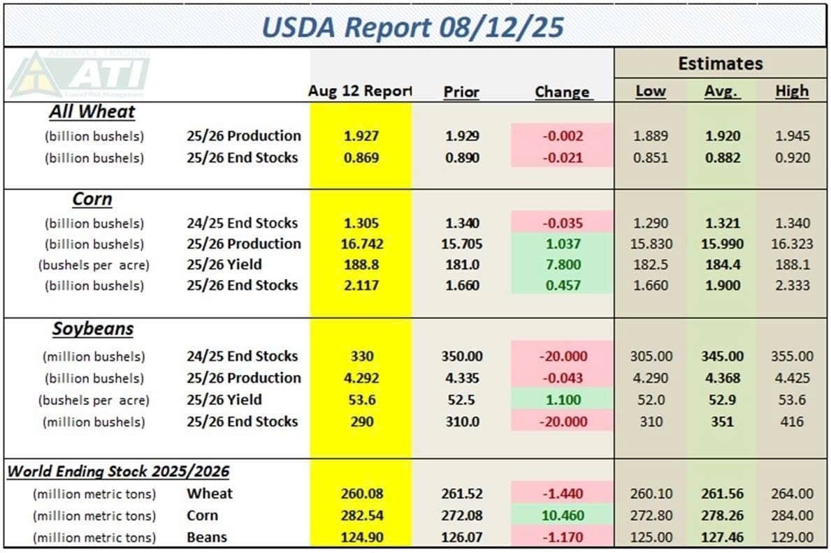 USDA: Năng suất đậu tương Mỹ đạt kỷ lục, thị trường vẫn tiềm ẩn yếu tố thắt chặt