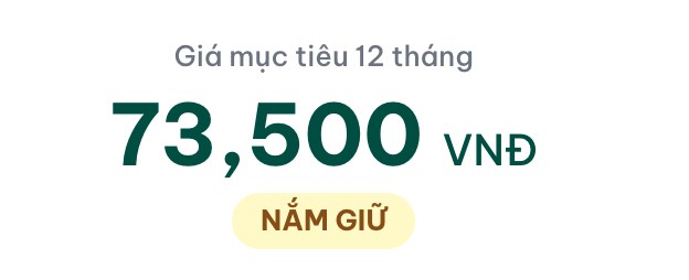 VCB - Pháo đài an toàn hay cỗ máy tăng trưởng chững lại?