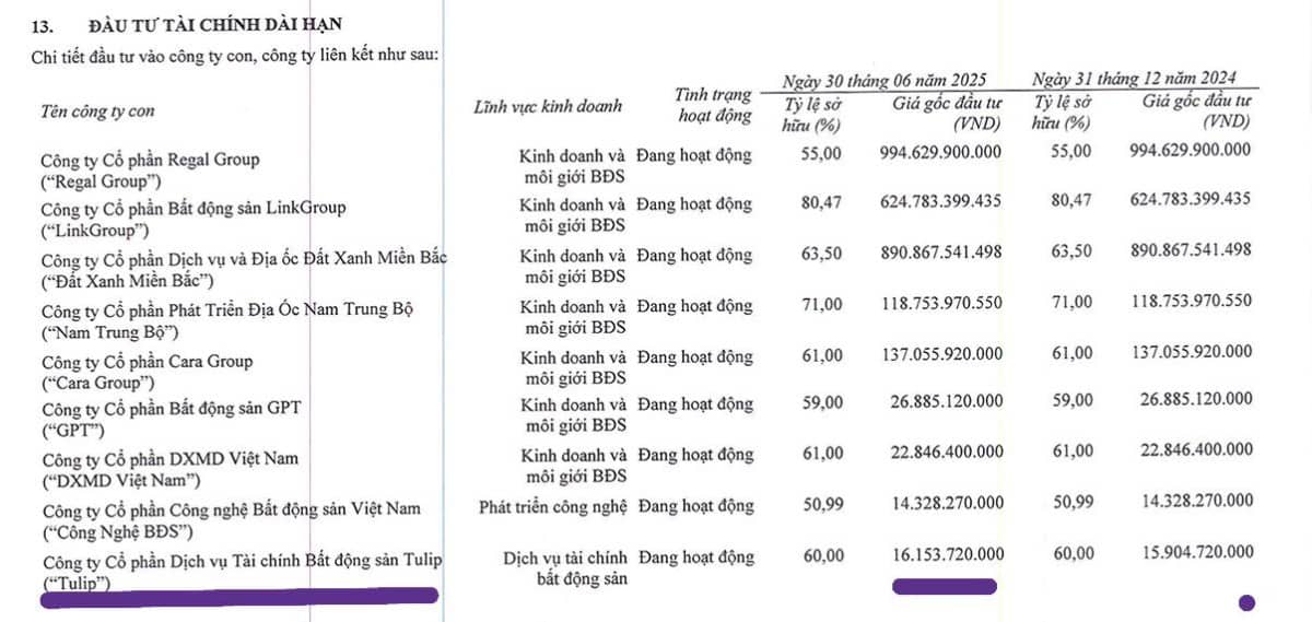 DXS CÓ LÀ PHIÊN BẢN MỚI TRONG TƯƠNG LAI CỦA DXG !. BÀI VIẾT TRÍCH DẪN TỪ FACEBOOK Hà Minh Tuấn.  ...
