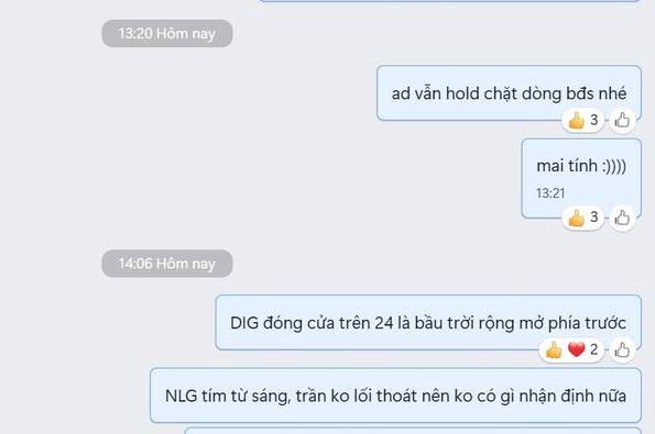 NLG - 'Leader' tiếp theo của nhóm BĐS