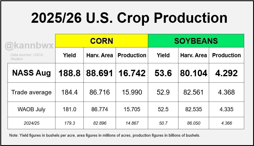 USDA: Năng suất đậu tương Mỹ đạt kỷ lục, thị trường vẫn tiềm ẩn yếu tố thắt chặt