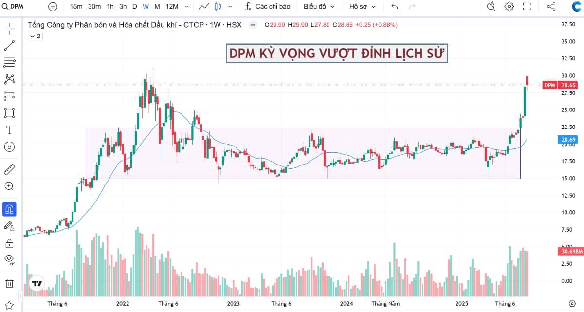 DPM – Tự tin vượt đỉnh, cơ hội song hành cơ bản & kỹ thuật