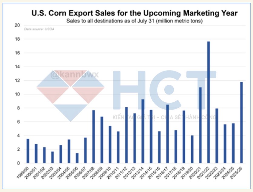 Ngô: Động lực xuất khẩu mạnh mẽ, triển vọng giá tích cực nhưng cần thận trọng