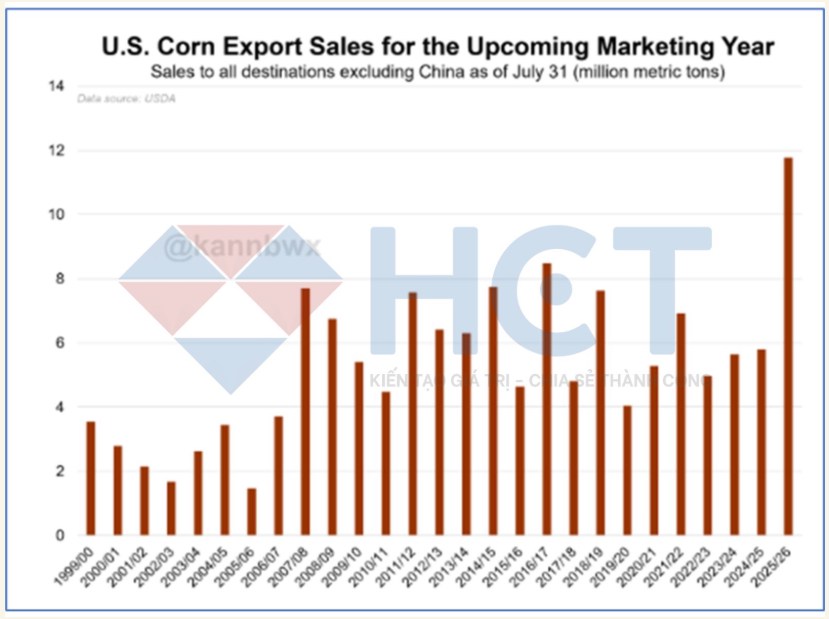 Ngô: Động lực xuất khẩu mạnh mẽ, triển vọng giá tích cực nhưng cần thận trọng