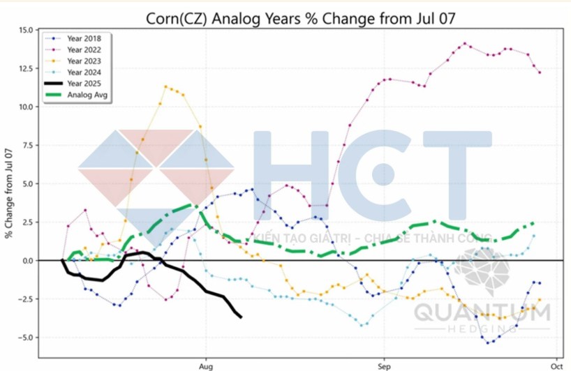 Ngô: Động lực xuất khẩu mạnh mẽ, triển vọng giá tích cực nhưng cần thận trọng