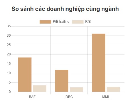 Báo cáo phân tích cổ phiếu BAF