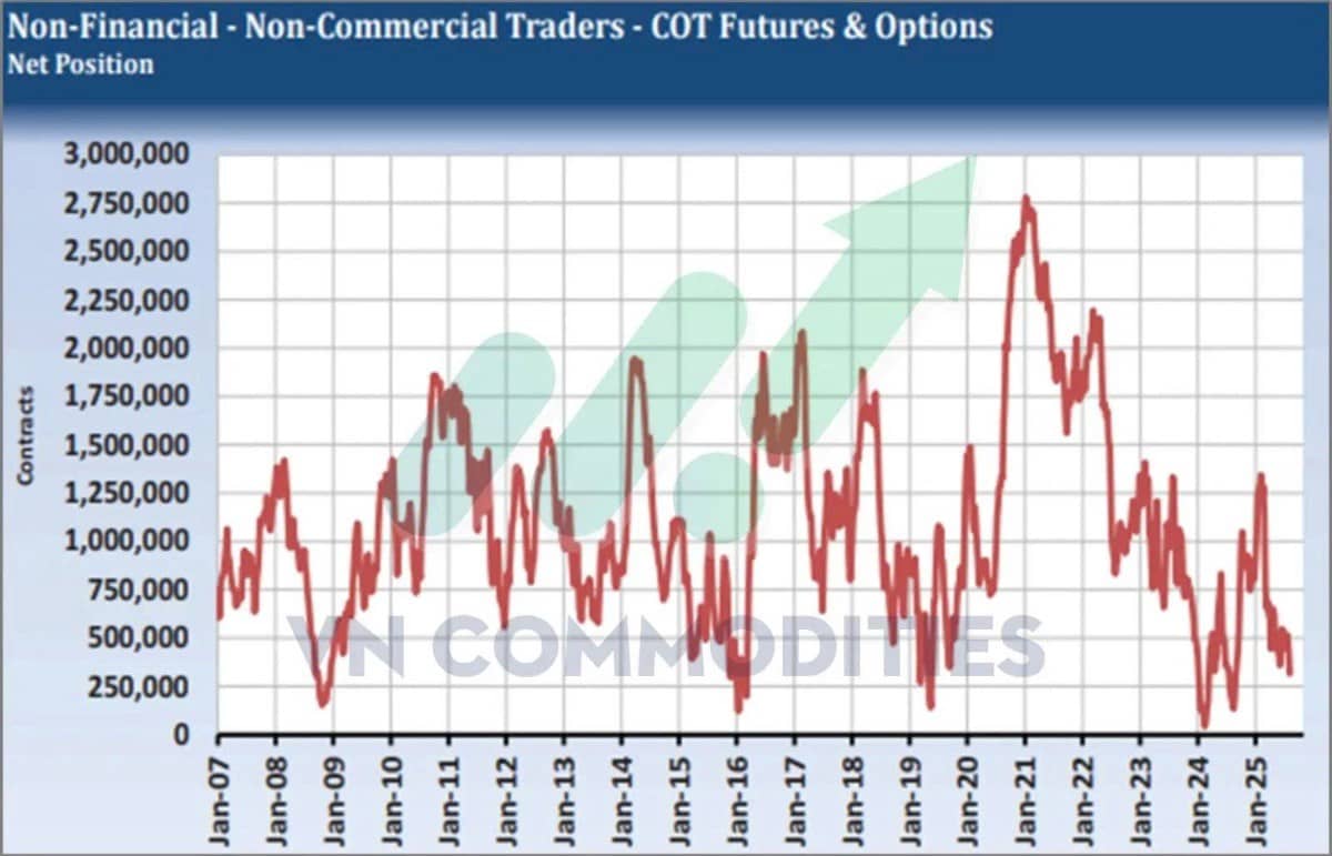 Thị trường hàng hóa: Tâm lý ổn định nhưng vẫn chịu áp lực dư cung