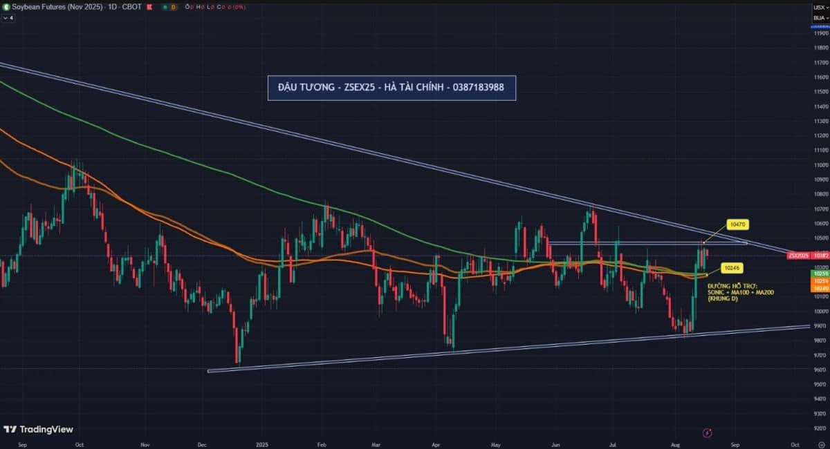 Nhận định giá sản phẩm đậu tương – ZSEX25 (18.08.2025)