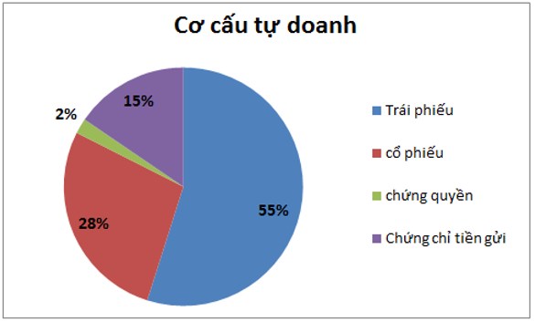 HCM: Tăng vốn và kỳ vọng lớn phía sau