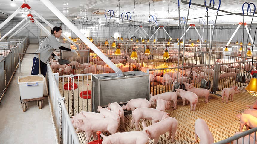 NĐT có nên kỳ vọng vào “cú hích” dài hạn của DBC