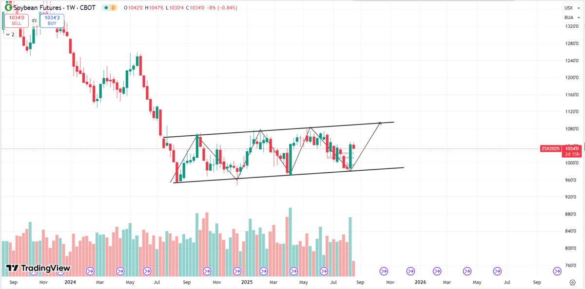 Nông dân trồng đậu nành Hoa Kỳ kêu gọi Trump ký thỏa thuận mua hàng với Trung Quốc