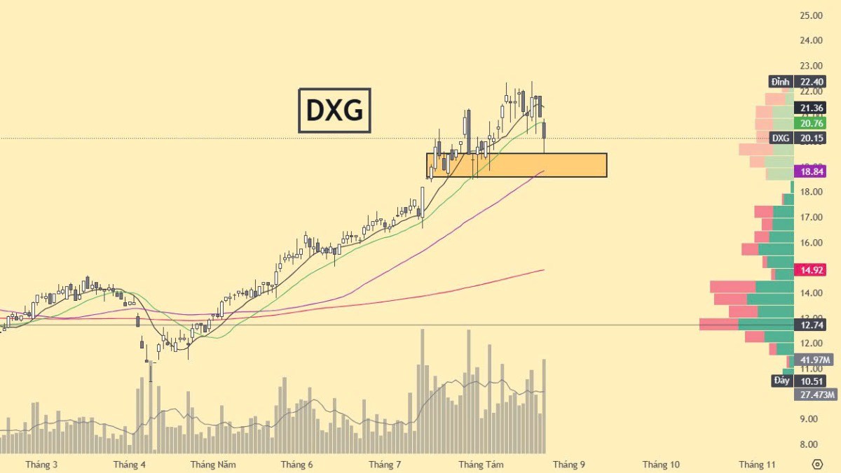 Hỗ trợ Cổ phiếu Bất động sản HDC CEO DXG PDR
