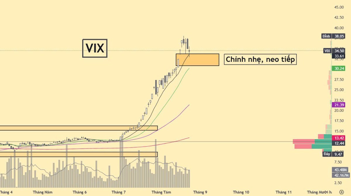 Hỗ trợ cổ phiếu Chứng khoán SHS SSI CTS VIX