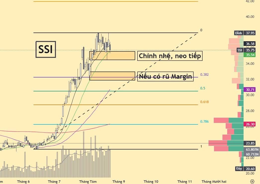 Hỗ trợ cổ phiếu Chứng khoán SHS SSI CTS VIX