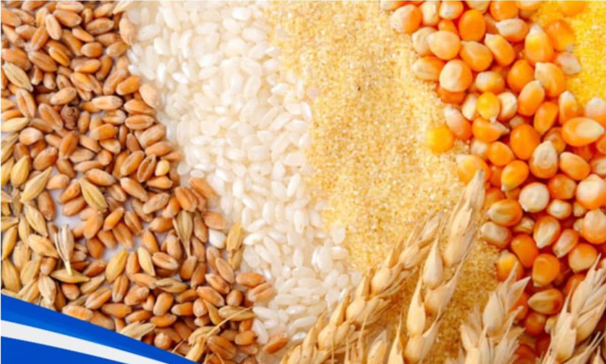 Nông sản 25/8: Cung cầu xoay trục, kỳ vọng Trung Quốc – Mỹ tạo sóng mới