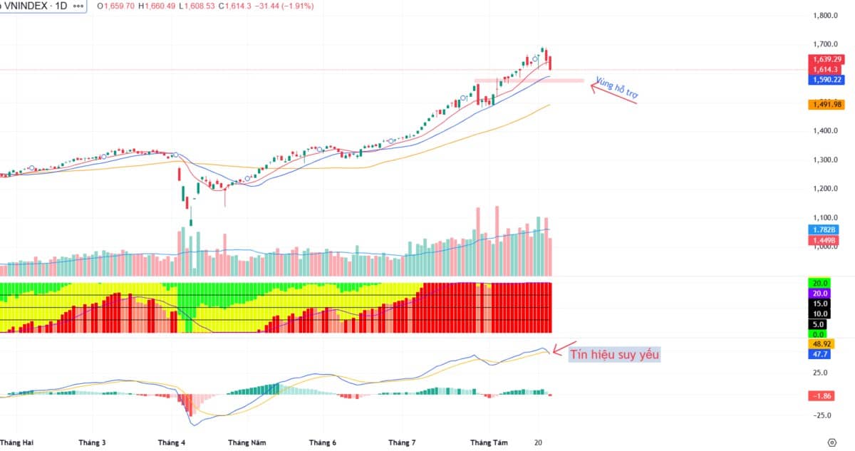 Bank đỏ lửa: Cách xử lý danh mục khi TPB, VIB, MSB, OCB giảm kịch sàn. Phiên đầu tuần ghi nhận áp lực  ...