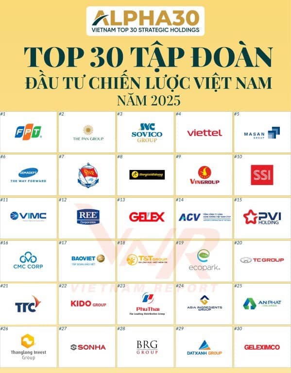 GELEX thuộc Top 30 Tập đoàn Đầu tư Chiến lược Việt Nam năm 2025 (ALPHA30)
