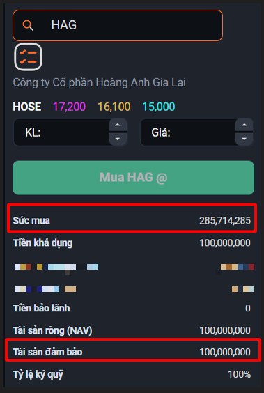 HAG xóa toàn bộ lỗ lũy kế - vay margin trở lại