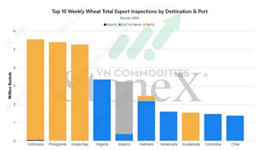 Lúa Mì: Xuất Khẩu Mỹ Bùng Nổ Nhưng Tồn Kho Toàn Cầu Giảm – Thị Trường Đang Ở Ngã Rẽ