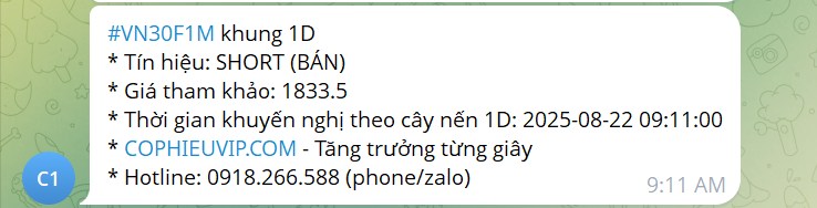 Bắt Mạch Chứng Khoán Ngày 27/8/2025: Kéo Mừng Đại Lễ Hay Bull Trap?