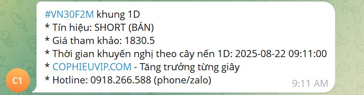 Bắt Mạch Chứng Khoán Ngày 27/8/2025: Kéo Mừng Đại Lễ Hay Bull Trap?