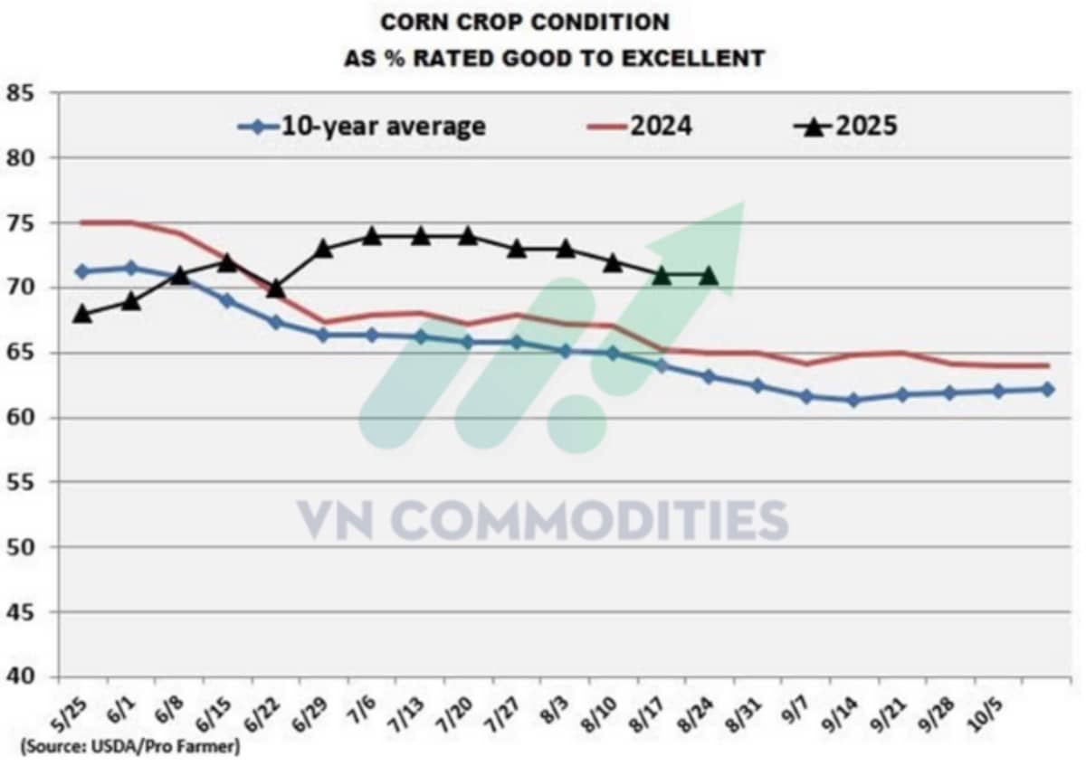 Nông sản chờ đơn hàng lớn, công nghiệp vào pha chốt lời