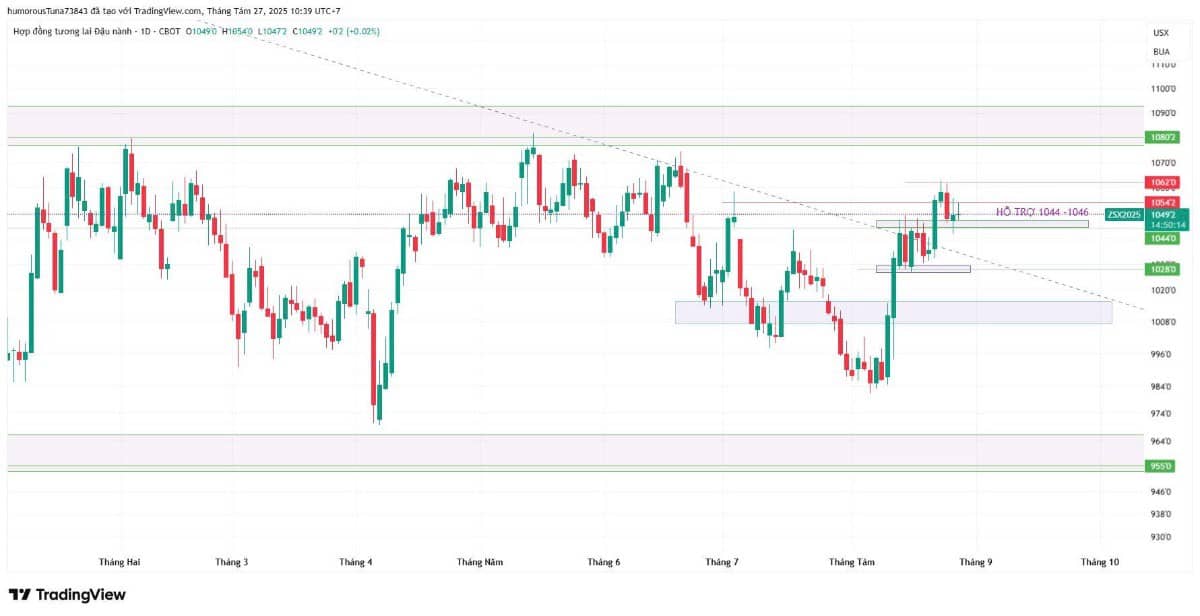 Áp lực chính trị đè nặng lên đồng USD