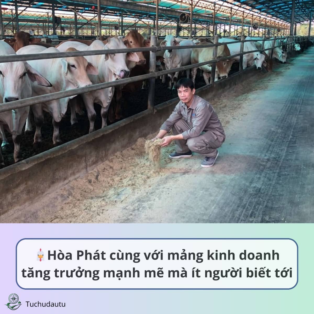 Hòa Phát cùng với mảng kinh doanh tăng trưởng mạnh mẽ mà ít người biết tới