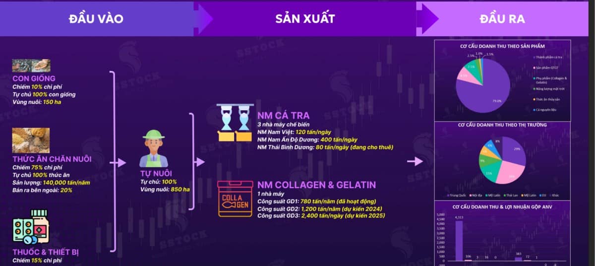 Cổ phiếu ANV: Giải mã câu chuyện tăng trưởng ngoạn mục năm 2025