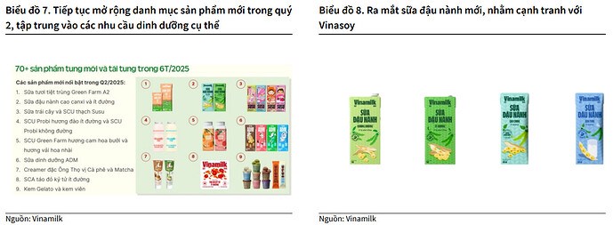 VNM - Tái cấu trúc để tăng trưởng
