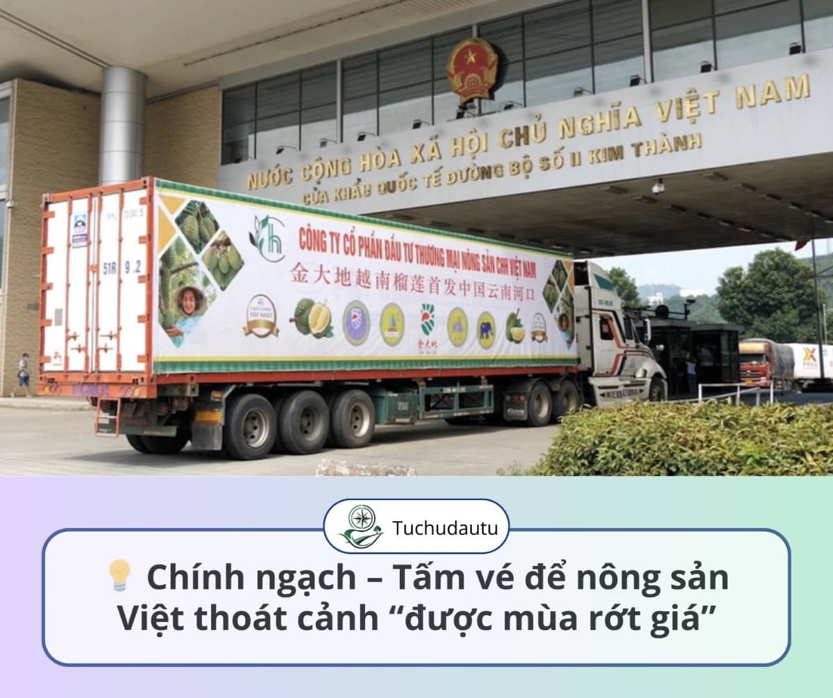 Xuất khẩu chính ngạch - Con đường tất yếu cho nông sản Việt