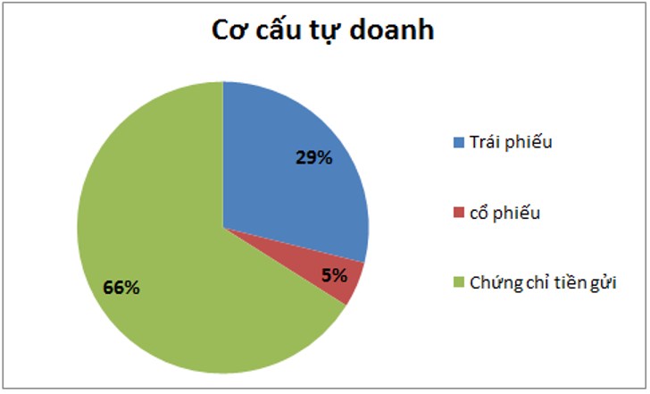SSI – Tự doanh ổn định, cho vay bứt phá