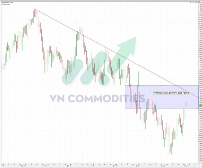 Tòa án tối cao Mỹ đối mặt quyết định lịch sử về thuế quan toàn cầu của Trump