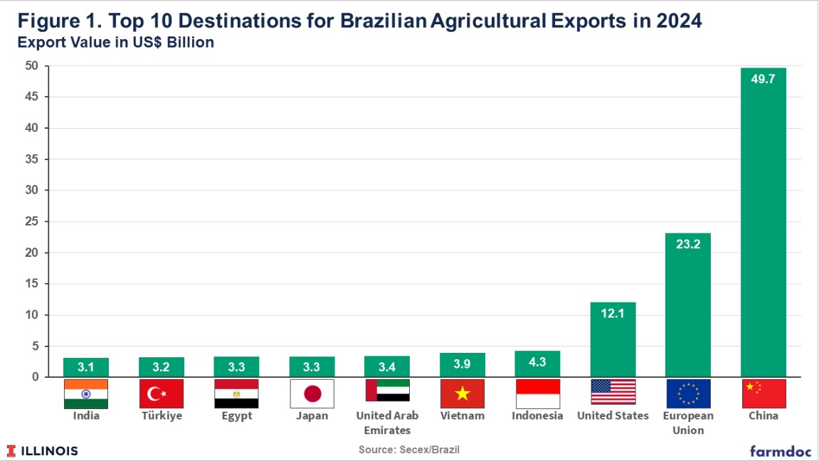 Mỹ áp thuế 50% lên cà phê Brazil: Thị trường toàn cầu đối diện biến động lớn?