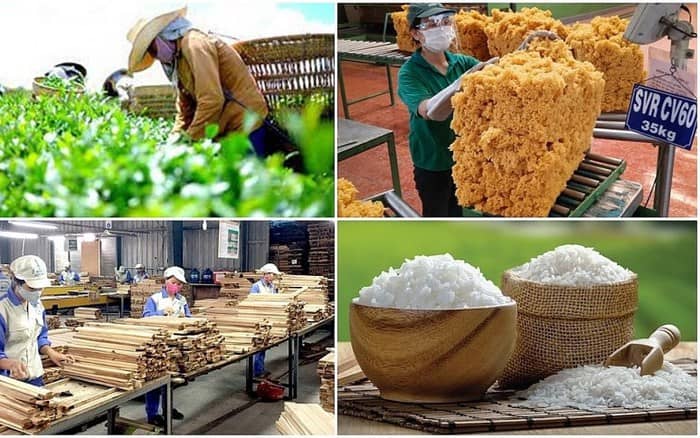 Xuất khẩu nông lâm thủy sản 8 tháng đạt trên 45 tỷ USD