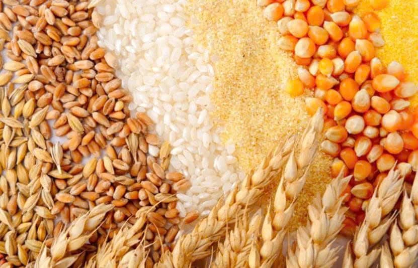 Tổng quan nông sản ngày 5/9: Lúa mì và ngô phục hồi, đậu tương giảm